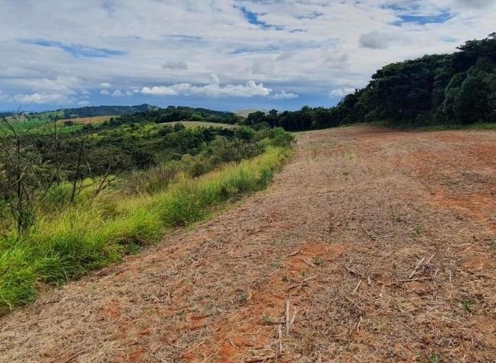 FAZENDA COM 178 HECTARES REGIÃO EM ARIUOCA, M.G - AIURUOCA - 