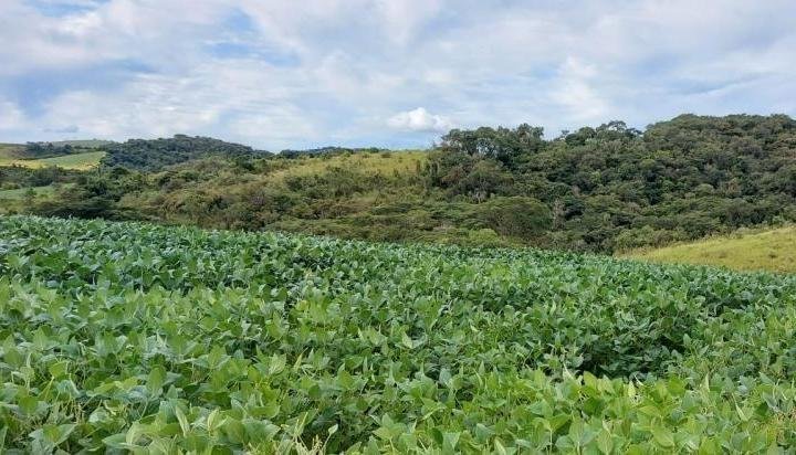 FAZENDA COM 178 HECTARES REGIÃO EM ARIUOCA, M.G - AIURUOCA - 