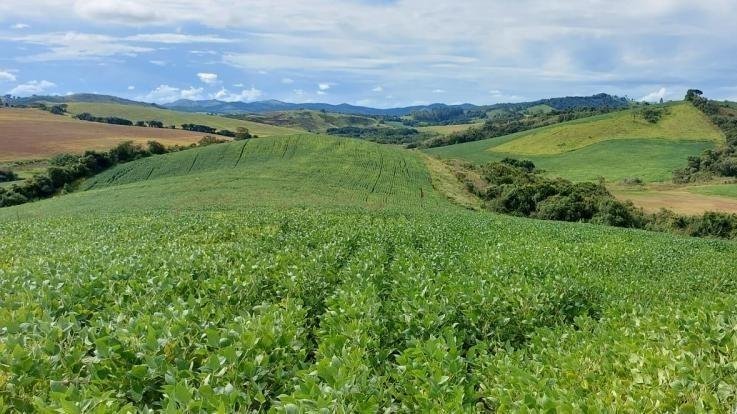 FAZENDA COM 178 HECTARES REGIÃO EM ARIUOCA, M.G - AIURUOCA - 