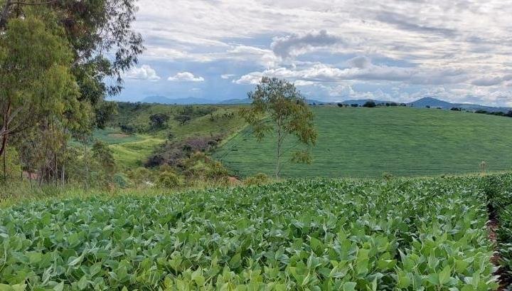 FAZENDA COM 178 HECTARES REGIÃO EM ARIUOCA, M.G - AIURUOCA - 
