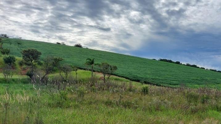 FAZENDA COM 178 HECTARES REGIÃO EM ARIUOCA, M.G - AIURUOCA - 