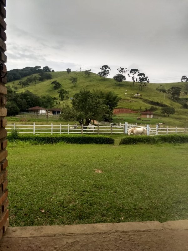 SÍTIO COM 17 ALQUEIRES EM LAGOINHA, S.P - LAGOINHA - 
