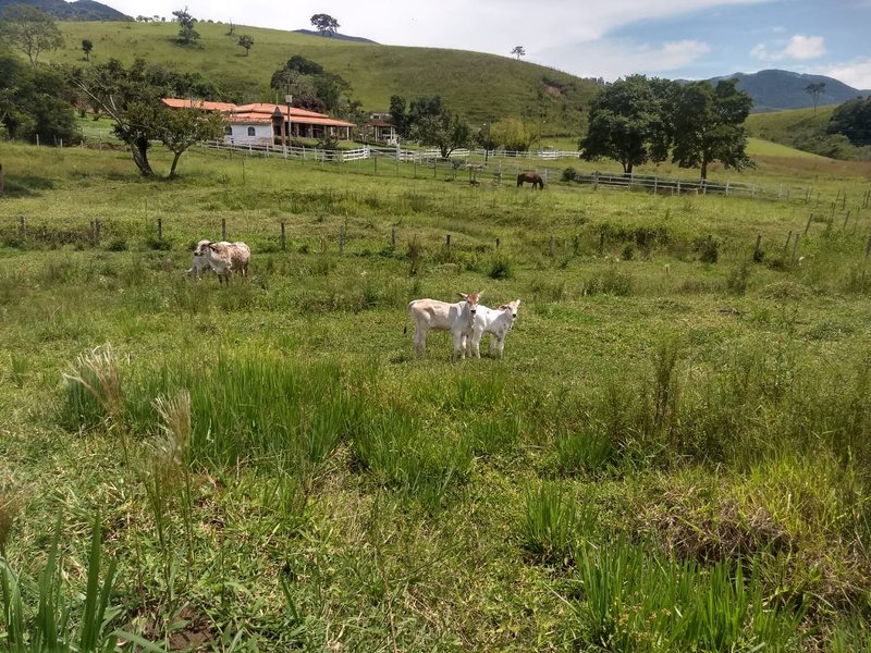 SÍTIO COM 17 ALQUEIRES EM LAGOINHA, S.P - LAGOINHA - 