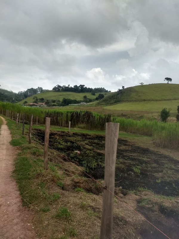 SÍTIO COM 17 ALQUEIRES EM LAGOINHA, S.P - LAGOINHA - 