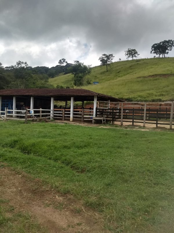 SÍTIO COM 17 ALQUEIRES EM LAGOINHA, S.P - LAGOINHA - 