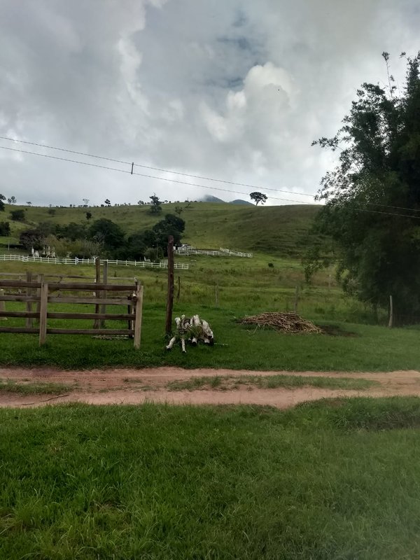 SÍTIO COM 17 ALQUEIRES EM LAGOINHA, S.P - LAGOINHA - 