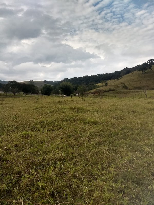 SÍTIO COM 17 ALQUEIRES EM LAGOINHA, S.P - LAGOINHA - 