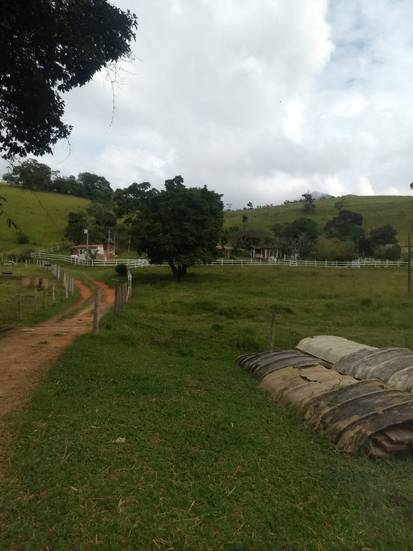 SÍTIO COM 17 ALQUEIRES EM LAGOINHA, S.P - LAGOINHA - 
