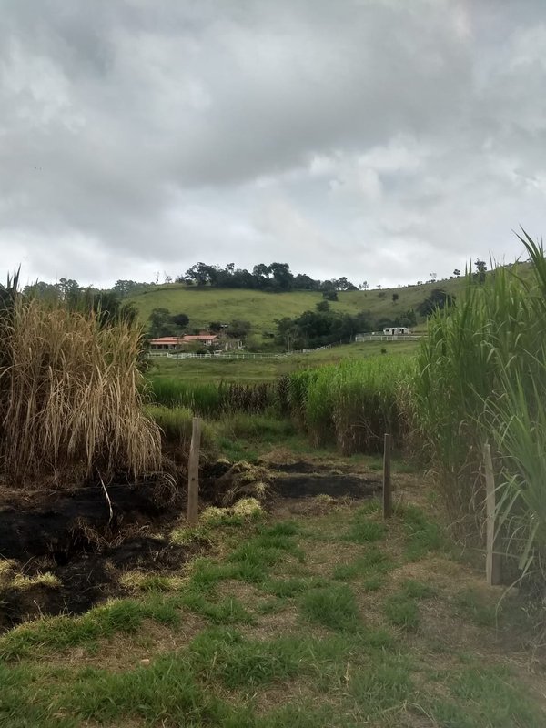 SÍTIO COM 17 ALQUEIRES EM LAGOINHA, S.P - LAGOINHA - 