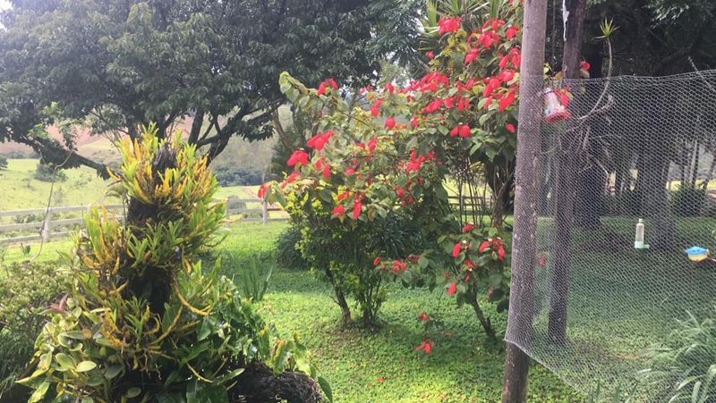 FAZENDA COM 370 HECTARES NA REGIÃO DE SERITINGA MG - SERITINGA - 