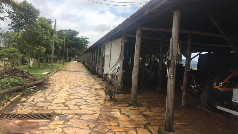 FAZENDA COM 370 HECTARES NA REGIÃO DE SERITINGA MG - SERITINGA - 