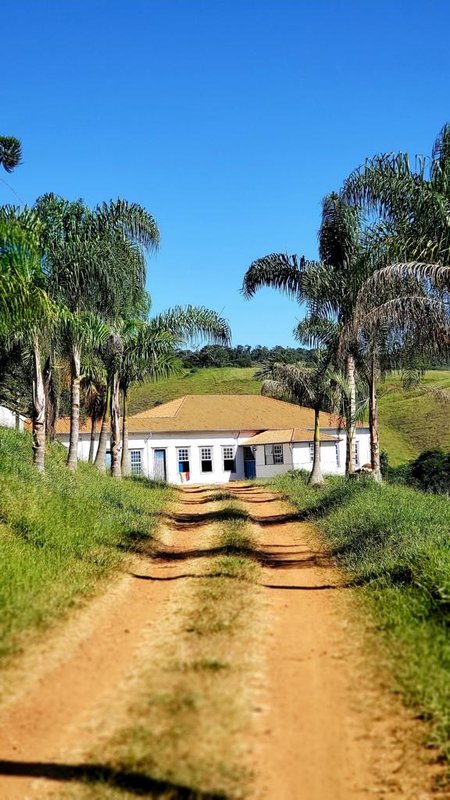 FAZENDA COM 370 HECTARES NA REGIÃO DE SERITINGA MG - SERITINGA - 