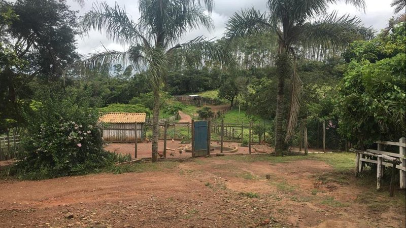 FAZENDA COM 370 HECTARES NA REGIÃO DE SERITINGA MG - SERITINGA - 