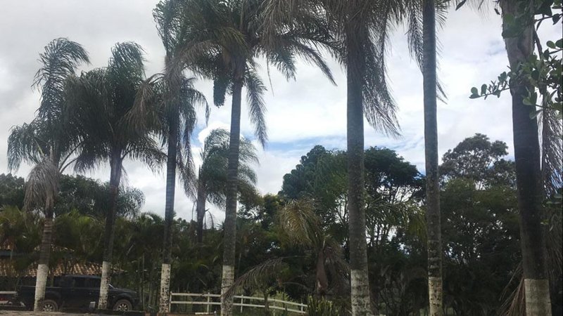 FAZENDA COM 370 HECTARES NA REGIÃO DE SERITINGA MG - SERITINGA - 