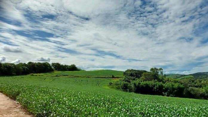 FAZENDA COM 264 HECTARES NA REGIÃO DE CONÇEIÇÃO DO RIO VERDE MG - CONCEICAO DO RIO VERDE - 