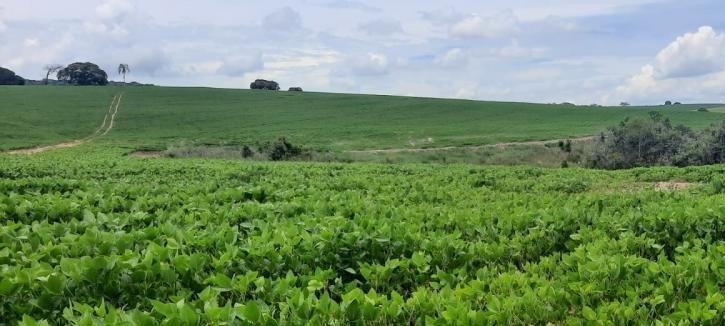 FAZENDA COM 264 HECTARES NA REGIÃO DE CONÇEIÇÃO DO RIO VERDE MG - CONCEICAO DO RIO VERDE - 
