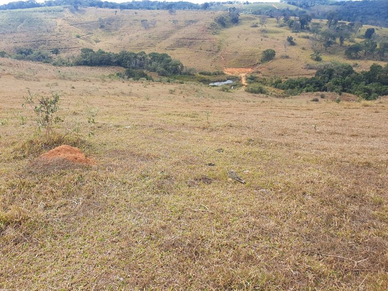 FAZENDA COM 152 ALQUIRES NA REGIÃO DE BAEPENDI MG - BAEPENDI - 