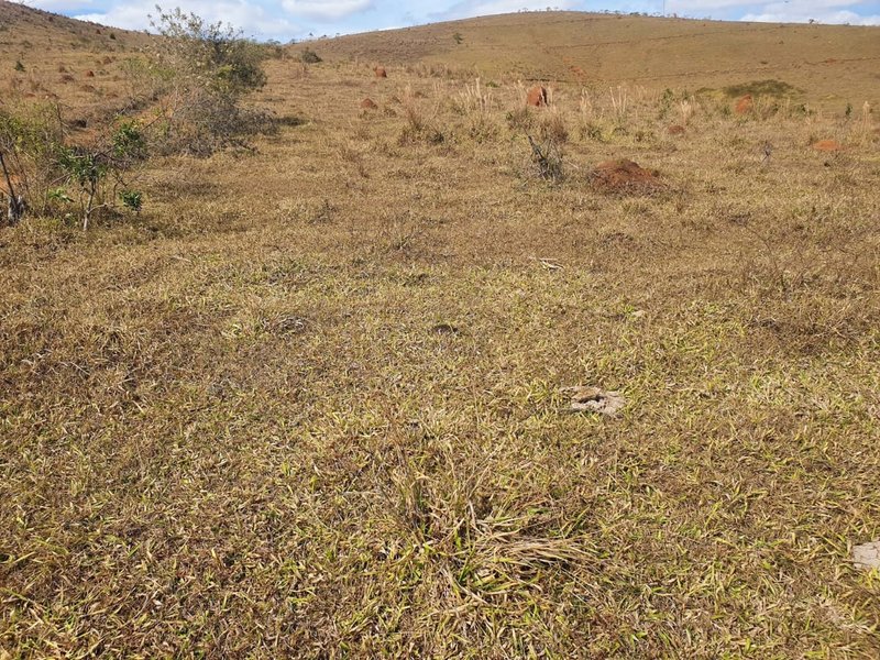 FAZENDA COM 152 ALQUIRES NA REGIÃO DE BAEPENDI MG - BAEPENDI - 