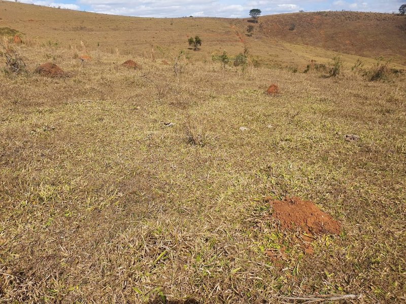 FAZENDA COM 152 ALQUIRES NA REGIÃO DE BAEPENDI MG - BAEPENDI - 