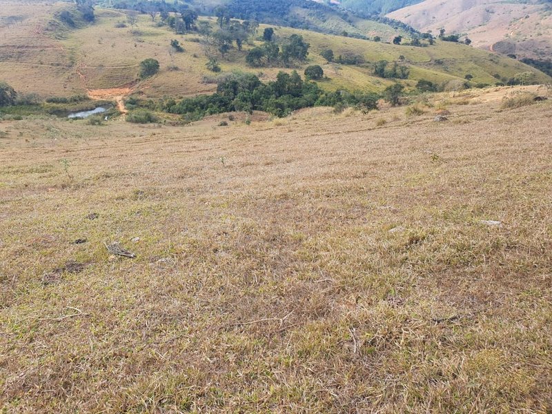 FAZENDA COM 152 ALQUIRES NA REGIÃO DE BAEPENDI MG - BAEPENDI - 