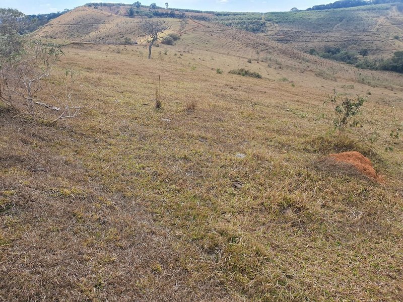 FAZENDA COM 152 ALQUIRES NA REGIÃO DE BAEPENDI MG - BAEPENDI - 
