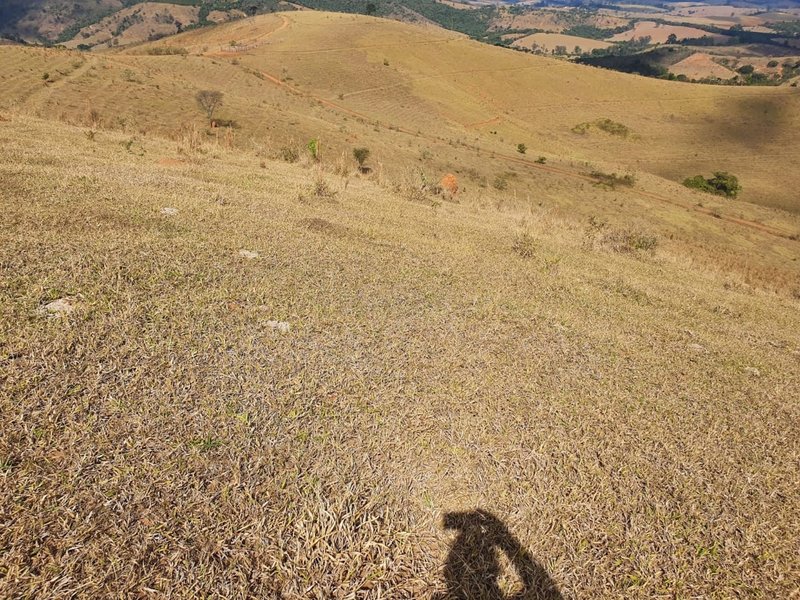 FAZENDA COM 152 ALQUIRES NA REGIÃO DE BAEPENDI MG - BAEPENDI - 
