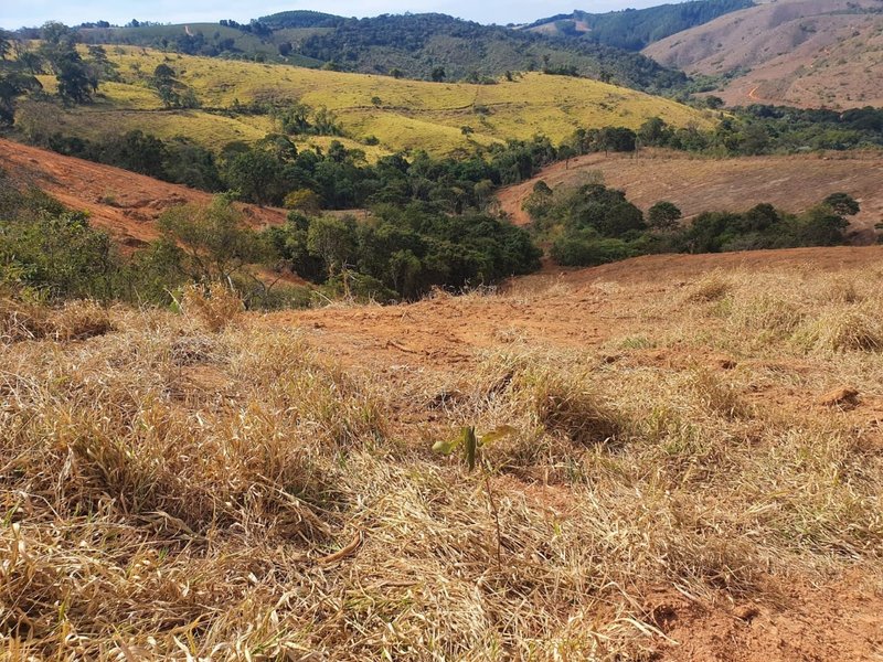 FAZENDA COM 152 ALQUIRES NA REGIÃO DE BAEPENDI MG - BAEPENDI - 