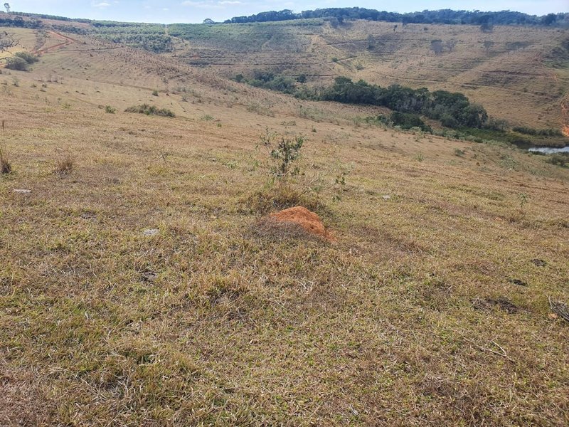 FAZENDA COM 152 ALQUIRES NA REGIÃO DE BAEPENDI MG - BAEPENDI - 
