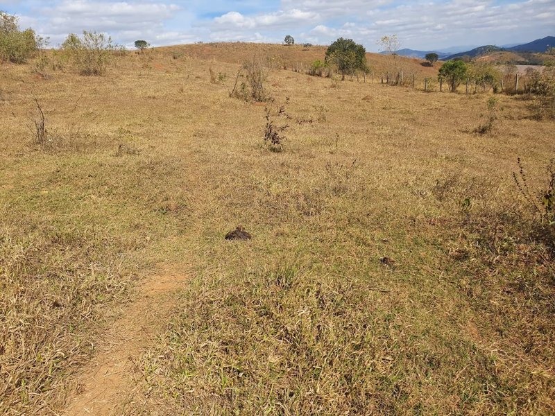 FAZENDA COM 152 ALQUIRES NA REGIÃO DE BAEPENDI MG - BAEPENDI - 
