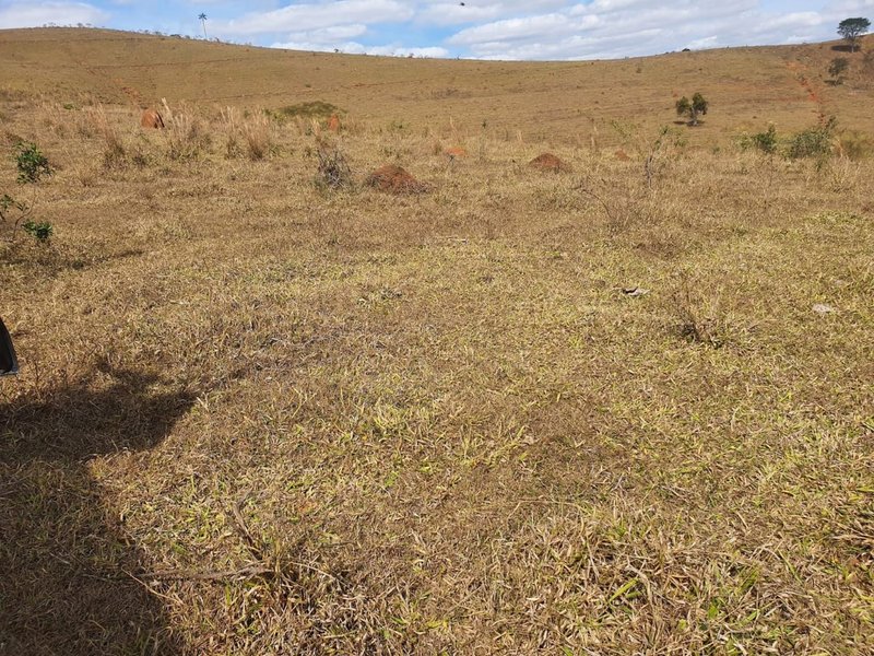 FAZENDA COM 152 ALQUIRES NA REGIÃO DE BAEPENDI MG - BAEPENDI - 