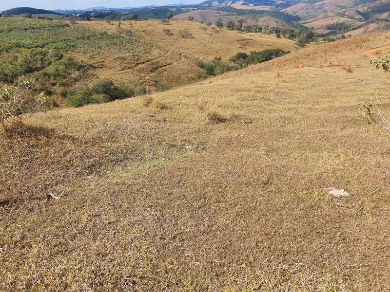 FAZENDA COM 152 ALQUIRES NA REGIÃO DE BAEPENDI MG - BAEPENDI - 