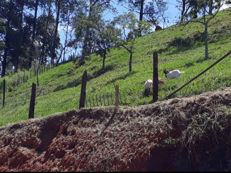 CHACARA COM 17.000 METROS EM MONTEIRO LOBATO - MONTEIRO LOBATO - 