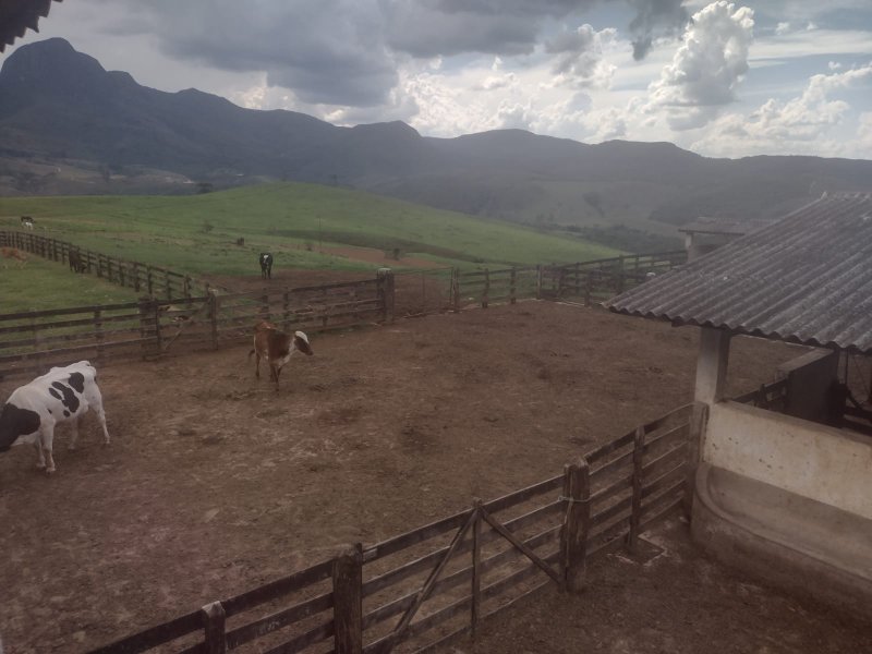 FAZENDA 450 HECTARES EM AIURUOCA - AIURUOCA - 