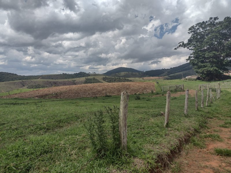 FAZENDA 450 HECTARES EM AIURUOCA - AIURUOCA - 