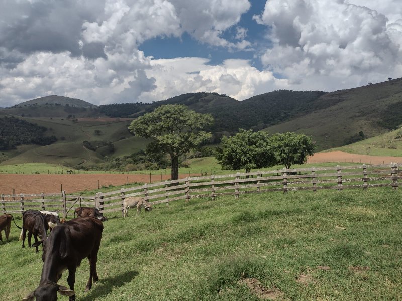 FAZENDA 450 HECTARES EM AIURUOCA - AIURUOCA - 
