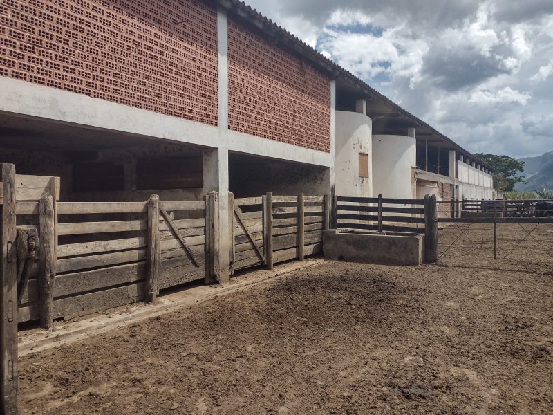 FAZENDA 450 HECTARES EM AIURUOCA - AIURUOCA - 