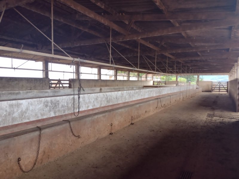 FAZENDA 450 HECTARES EM AIURUOCA - AIURUOCA - 