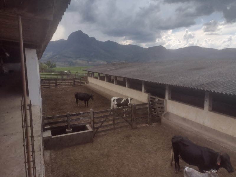 FAZENDA 450 HECTARES EM AIURUOCA - AIURUOCA - 