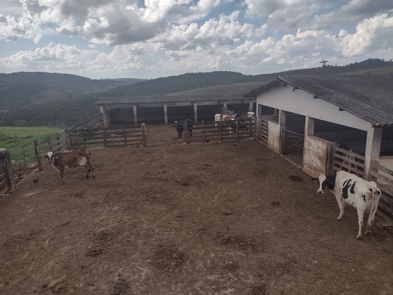 FAZENDA 450 HECTARES EM AIURUOCA - AIURUOCA - 