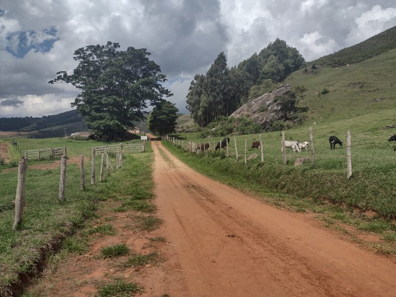 FAZENDA 450 HECTARES EM AIURUOCA - AIURUOCA - 