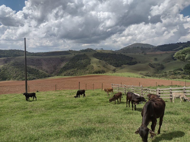 FAZENDA 450 HECTARES EM AIURUOCA - AIURUOCA - 