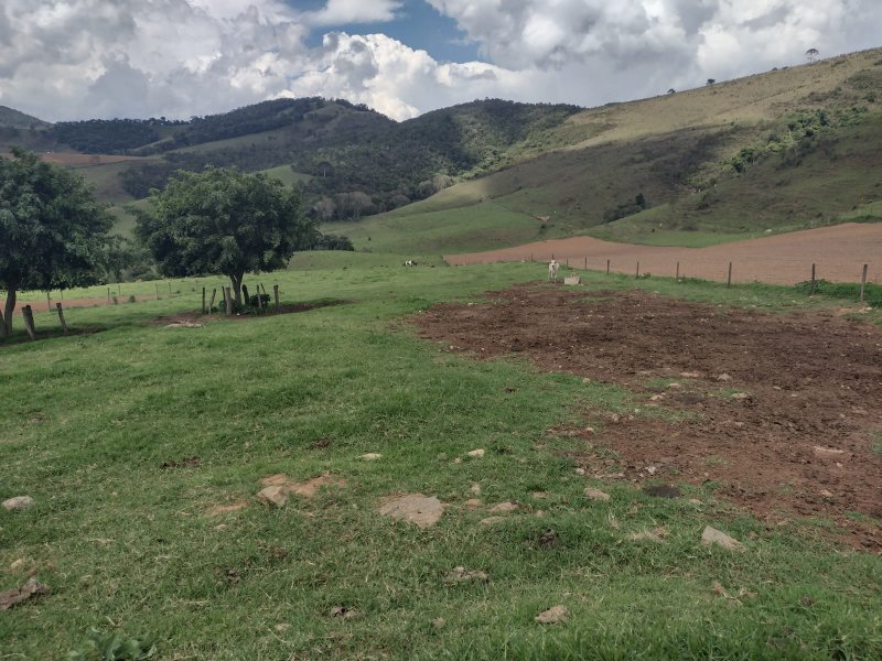 FAZENDA 450 HECTARES EM AIURUOCA - AIURUOCA - 