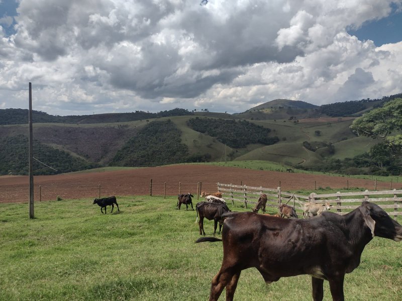 FAZENDA 450 HECTARES EM AIURUOCA - AIURUOCA - 