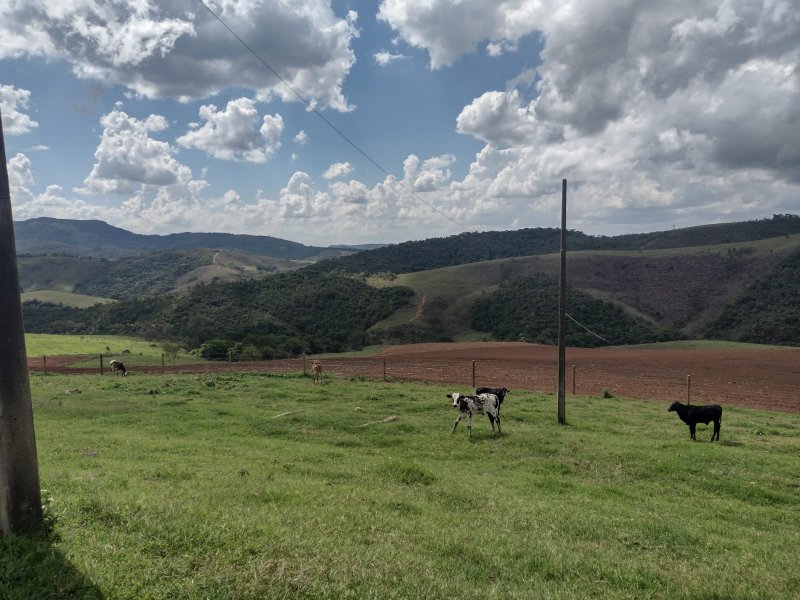 FAZENDA 450 HECTARES EM AIURUOCA - AIURUOCA - 