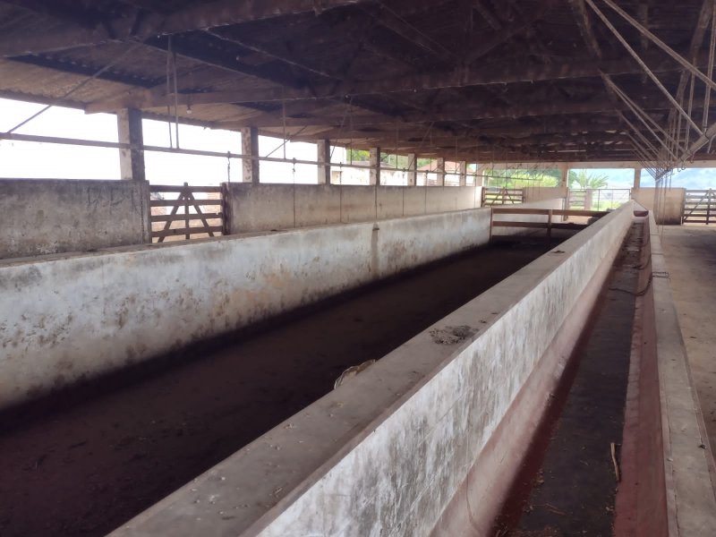 FAZENDA 450 HECTARES EM AIURUOCA - AIURUOCA - 