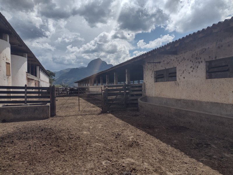 FAZENDA 450 HECTARES EM AIURUOCA - AIURUOCA - 