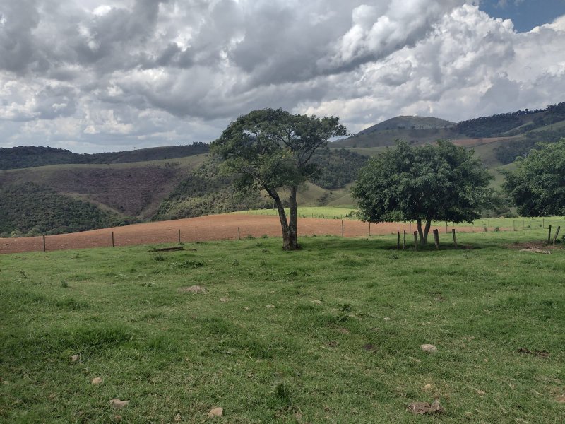 FAZENDA 450 HECTARES EM AIURUOCA - AIURUOCA - 