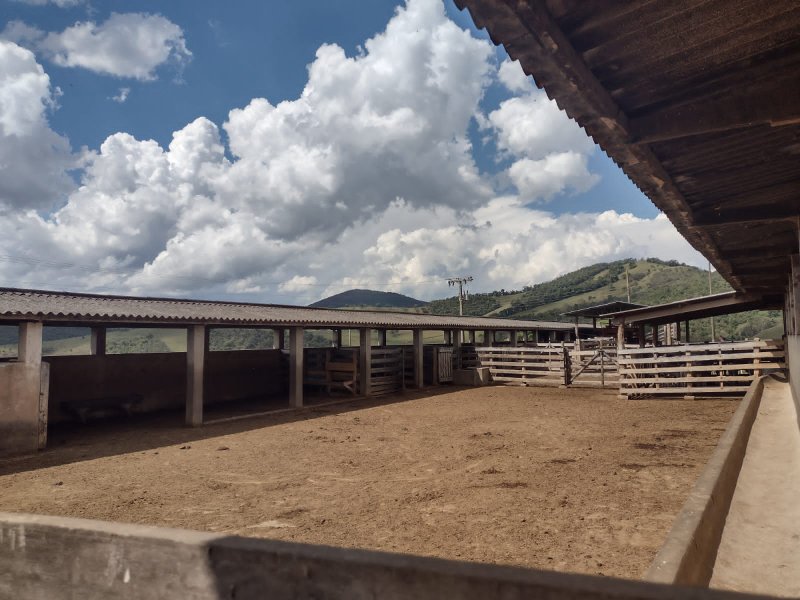 FAZENDA 450 HECTARES EM AIURUOCA - AIURUOCA - 