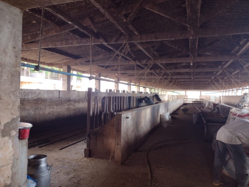 FAZENDA 450 HECTARES EM AIURUOCA - AIURUOCA - 