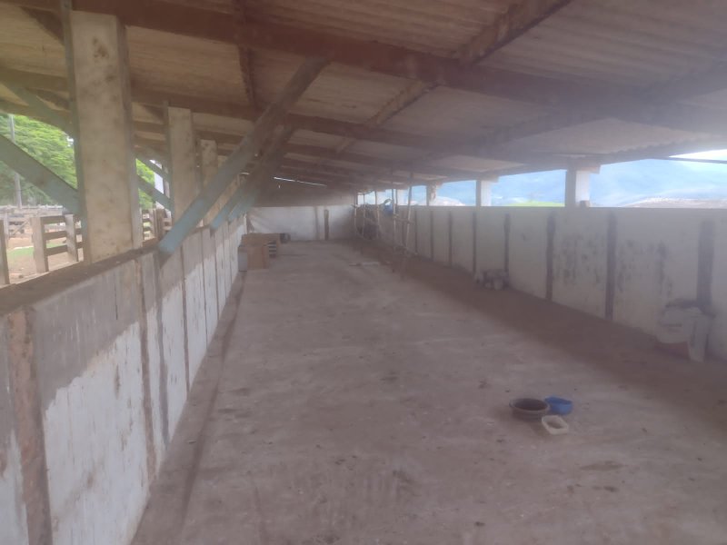 FAZENDA 450 HECTARES EM AIURUOCA - AIURUOCA - 